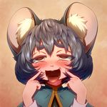  ahegao animal_ears bad_id bad_pixiv_id blush brown_eyes close-up face mouse_ears nazrin open_mouth saliva solo tongue tora_(trampjing) touhou 