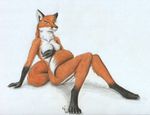  canine female fox nude shy solo unknown_artist 