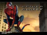  edit humor mammal monkey photo_manipulation photomorph primate pun real spider-man spider_man worth1000 