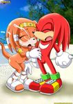  beach cum cumshot facial female handjob knuckles_the_echidna male masturbation mobian mobius_unleashed orgasm penis sandals seaside sonic_(series) tikal_the_echidna tongue 