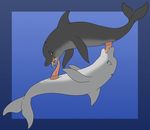  69 cetacean couple cum dolphin enjoying erection fellatio feral gay holly_marie_ogburn male marine ocean oral oral_sex penis sex tapering_penis 
