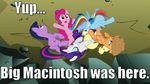  applejack_(mlp) female friendship_is_magic image_macro my_little_pony pinkie_pie_(mlp) rainbow_dash_(mlp) rarity_(mlp) tagme twilight_sparkle_(mlp) 