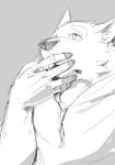 canine male smoking solo syukouakanaru wolf 