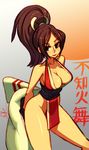  alex_ahad bare_shoulders breasts brown_eyes brown_hair cleavage fatal_fury halterneck japanese_clothes large_breasts ninja pelvic_curtain ponytail revealing_clothes shiranui_mai solo the_king_of_fighters thighs 