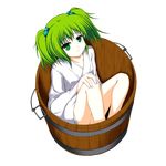  absurdres bucket collarbone green_eyes green_hair hair_bobbles hair_ornament highres hoshizuki_(seigetsu) in_bucket in_container kisume long_sleeves short_hair short_twintails smile solo touhou transparent_background twintails wide_sleeves wooden_bucket 