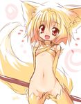  animal_ears blonde_hair canine fang female fox gloves hair hat hentai kemonomimi kitsunemimi looking_at_viewer moonlight_flower ragnarok_online red_eyes short_hair soft solo standing tail thigh_highs unknown_artist 