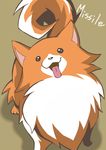  bad_id bad_pixiv_id dog from_above ghost_trick looking_up loveguiltytour missile_(ghost_trick) no_humans pomeranian_(dog) shadow simple_background solo 