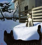  cat cat_focus closed_eyes collar house matataku monita_(matataku) no_humans original realistic shade signature sitting snow sunlight tail tree 