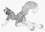  canine cuntboy intersex kato monochrome nude presenting pussy raised_tail ruaidri sketch solo stockings tail 