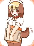  collar dog dress female kin-shun mammal plain_background solo white_background 