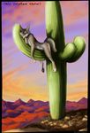  blackteagan cactus canine coyote desert male nude saguaro sleeping solo 