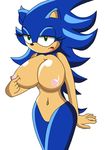  bluespin rule_63 sonic_team sonic_the_hedgehog tagme 
