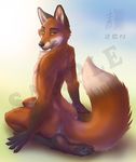  4_toes 5_fingers annoying_watermark anthro back back_turned black_nose bushy_tail canine chest_tuft claws fluffy_tail fox fur kneeling looking_at_viewer looking_back male mammal markings nude orange_eyes orange_fur pawpads paws seductive socks_(marking) solo tail toe_claws tuft watermark zen 