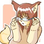  canine eyewear female fox glasses kin-shun mammal solo 