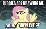  fluttershy friendship_is_magic image_macro my_little_pony tagme 