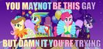  equine fluttershy_(mlp) horse macro meme my_little_pony pinkie_pie_(mlp) rainbow_dash_(mlp) twilight_sparkle_(mlp) unicorn wings 