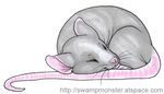  cute feral holly_massey markers rat rodent sleeping solo tail 