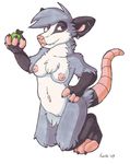  2007 apple breasts female korth nude possum pussy solo virginia_opossum 