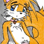  &hearts; 2004 blue_eyes canine chest_tuft collar ear_piercing earring fox kitsune male miles_prower multiple_tails orange penis piercing solo sonic_(series) tail unknown_artist 
