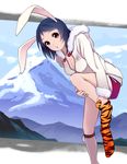  animal_ears animal_print blue_hair breasts brown_eyes bunny_ears cleavage copyright_request highres kazufumi_(kaz-newt) medium_breasts removing_sock short_hair shorts solo tiger_print undressing 
