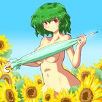  breasts censored convenient_censoring curvy flower gomi_ichigo green_hair highres kazami_yuuka large_breasts nude red_eyes short_hair smile solo sunflower touhou umbrella 