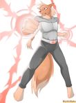  anthro canine digitigrade fox imposing magic male mammal mysticalpha solo 