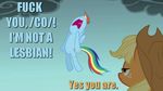  applejack_(mlp) equine female friendship_is_magic horse image_macro my_little_pony pegasus pony rainbow_dash_(mlp) tagme 