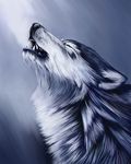  canine dog howl long_fur snow solo winter wolf 