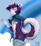  blue_eyes canine collar dog hair husky jijix looking_at_viewer male markings pants pants_down pants_pull piercing purple purple_hair raised_tail ransom shirt_lift short_hair short_purple_hair solo standing tail tail_band wolf 