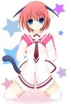  animal_ears azel bad_id bad_pixiv_id blue_eyes cat_ears cat_tail highres kemonomimi_mode red_hair school_uniform solo tail thighhighs twinkle_crusaders 