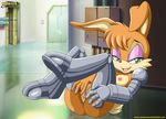 breasts bunnie_rabbot female lagomorph mobian mobius_unleashed pussy rabbit solo sonic_(series) 