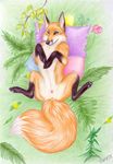  anus canine canine_pussy female feral fox grass korrok nude outside pillow pussy solo 