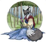  canine dress female flowers fox solo tracy_j_butler 