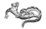  gideon male muscles rattle reptile scalie sheath snake solo 