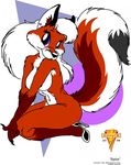  canine cheesecake cute drcoyote female fox joseph_ny kneeling pinup solo spice 