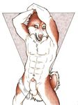  arms_above_head balls canine dog husky hybrid kaputotter male mammal nude penis penis_tip sheath solo underwear wolf 