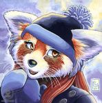  cute female kacey red_panda solo whiskers winter 