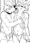  bulge canine drunk fox_mccloud gay grope macks male star_fox underwear video_games wolf wolf_o&#039;donnell 