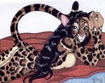  breasts butt clouded_leopard feline female nude on_front scan shy side_boob solo terrie_smith 