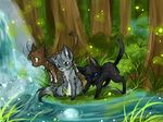  aerius blue_eyes cat cute feline forest grass green_eyes river tree water waterfall 