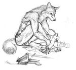  asheru canine dagger female leggings scott_ruggels sketch solo unconvincing_armour wolf 