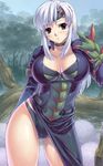  armor blue_eyes blush breasts cleavage espinas_(armor) forest large_breasts legs monster_hunter monster_hunter_frontier nature panties silver_hair solo sweat thighs uchiu_kazuma underwear 