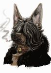  cigarette collar dog male mammal plain_background portrait purupurupurupuru solo white_background 