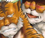  anthro gay imminent_rape male mammal tiger unknown_artist 
