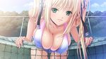  bent_over bikini blonde_hair breasts chain-link_fence choker cleavage cloud cloudy_sky covered_nipples day fence frills game_cg hair_ribbon kyonyuu_majo large_breasts looking_at_viewer net outdoors q-gaku ribbon sky smile solo swimsuit tenma_cecile tennis_net thigh_gap tree twintails 