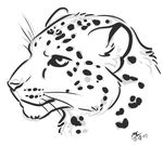  cat feline feral leopard moodyferret profile snow_leopard 