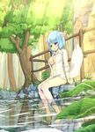  animal_ears barefoot blue_hair bottomless breasts fuji-k large_breasts light_rays looking_down md5_mismatch open_clothes open_shirt original see-through shirt short_hair sitting sleeves_rolled_up soaking_feet solo sunbeam sunlight tail tree water wolf_ears wolf_tail 