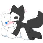  &lt;3 ambiguous_gender anthro black_fur black_sclera black_tail blue_eyes blush canid canine canis changed_(video_game) chano cub digital_media_(artwork) duo fur lin_(changed) lying mammal paws puro_(changed) smile white_fur white_tail wolf young 