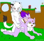  anthro blaze_the_cat breasts doggy_position doggystyle duo female from_behind game_background male nude open_mouth sega sex sonic_(series) straight unknown_artist 