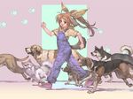  animal_ears brown_eyes brown_hair canine dog dog_ears doggirl female feral hair human mammal overalls tail unknown_artist 
